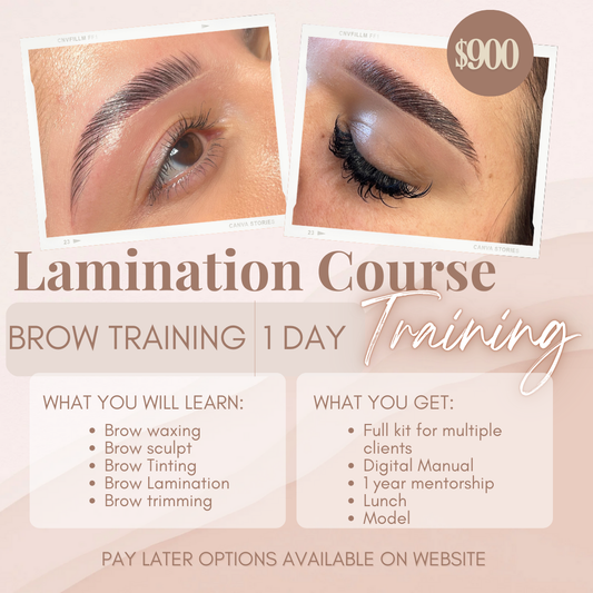 Brow Training